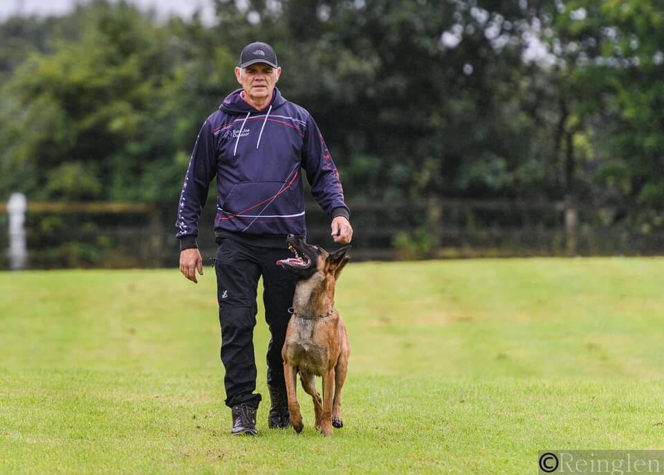 Dog training blog