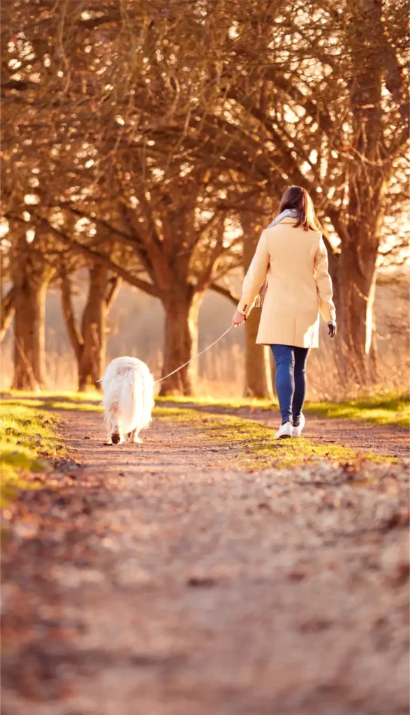Nervous owner walking her dog on a quiet country lane.
