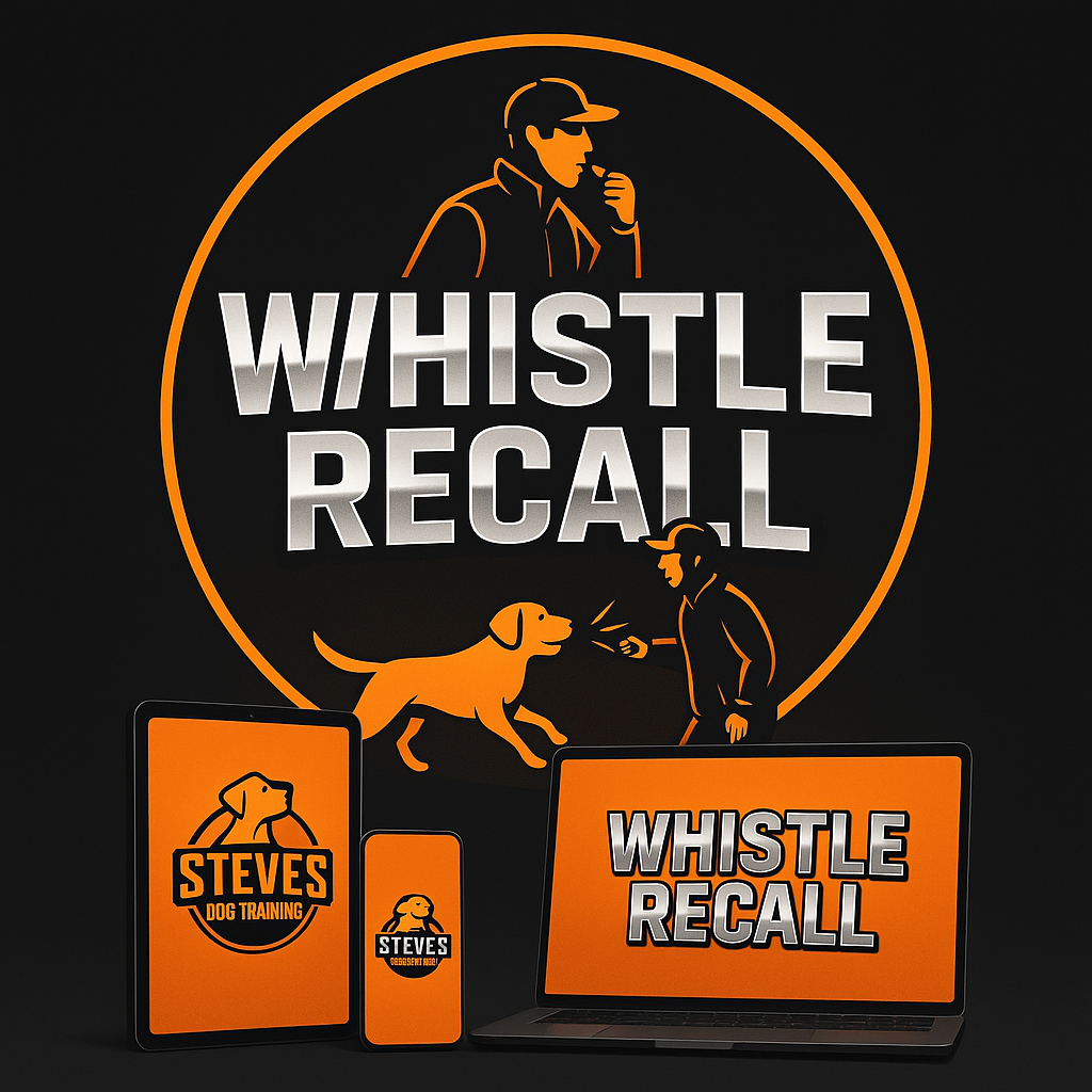 Whistle Recall Mastery Guide Book