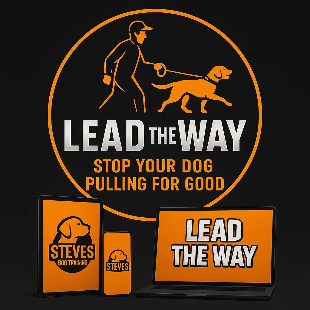Lead The Way Stop Pulling Guide